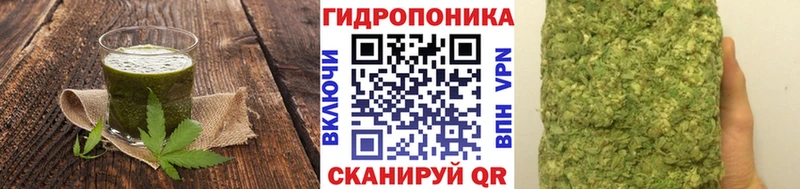 Canna-Cookies конопля  мега зеркало  Бабаево 