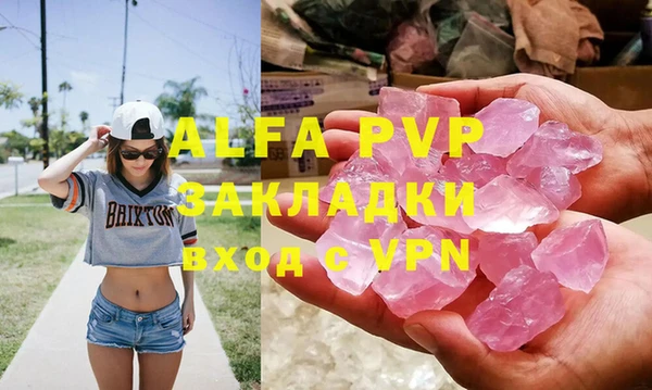 прущие грибы Балахна