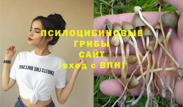 прущие грибы Балахна