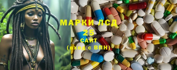 прущие грибы Балахна