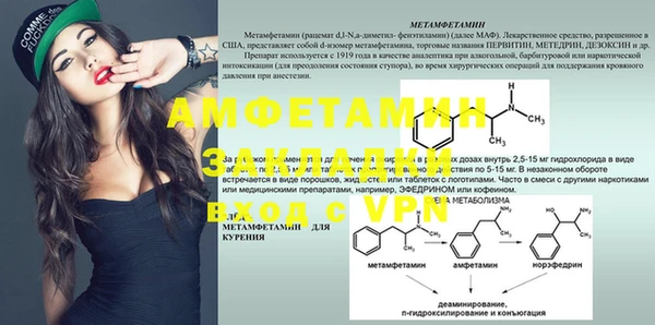 прущие грибы Балахна