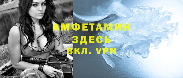 прущие грибы Балахна